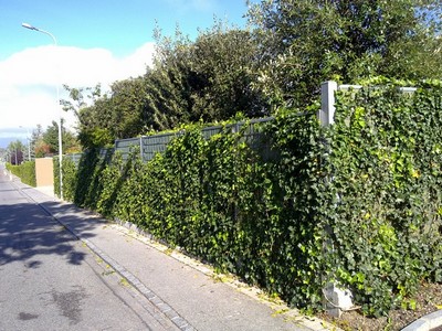 mur anti bruit noistop steel vegetalisable